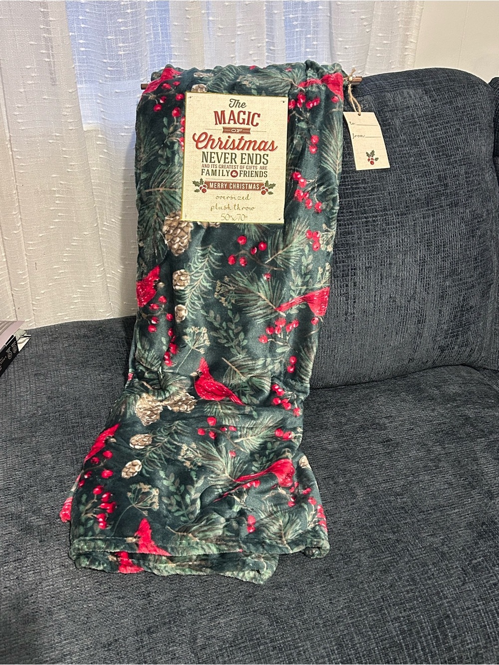 Cardinal and berries green oversized velvet plush blanket 50 x70